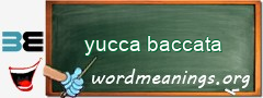 WordMeaning blackboard for yucca baccata